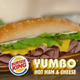 Illustration for article titled Smackdown! Burger Kings Yumbo Vs. The Wendys Bacon Portabella Burger